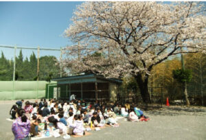 活動風景：お花見弁当会